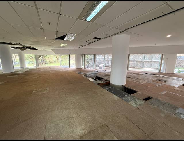 1,526M² OFFICE TO LET IN AUCKLAND PARK